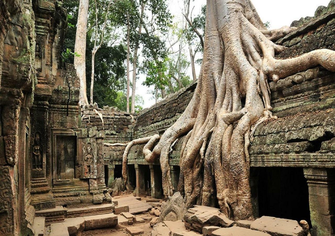 Anachak Angkor Residence Siem Reap Exterior photo